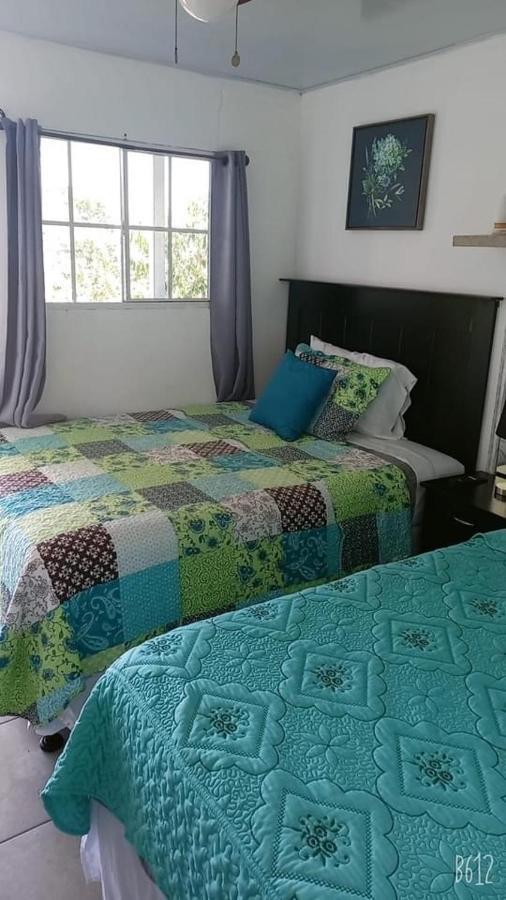 Hostal Jasmin برلين المظهر الخارجي الصورة